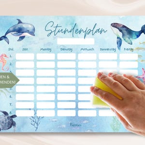Magnetischer Stundenplan Unterwasserwelt Mädchen, A4 abwischbarer wieder verwendbarer Wochenplan Schule Junge, Geschenkidee Einschulung Meer
