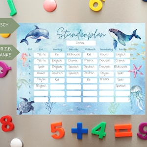 Magnetischer Stundenplan Unterwasserwelt Mädchen, A4 abwischbarer wieder verwendbarer Wochenplan Schule Junge, Geschenkidee Einschulung Meer
