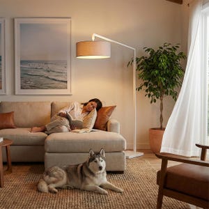 Stretch 75"H 1-Light Chairside Arc Lamp, Cashmere Gray Linen Shade, White Body, Dimmable, for Living Room or Bedroom