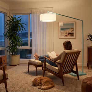 May include: A modern living room scene featuring a teal floor lamp with a white lampshade. A person is seated in a wooden armchair, reading a book. An orange cat is curled up on the rug. A potted plant and a framed beach photo are also visible.