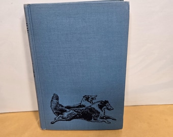Lad of Sunnybank By Albert Terhune 1929 HC