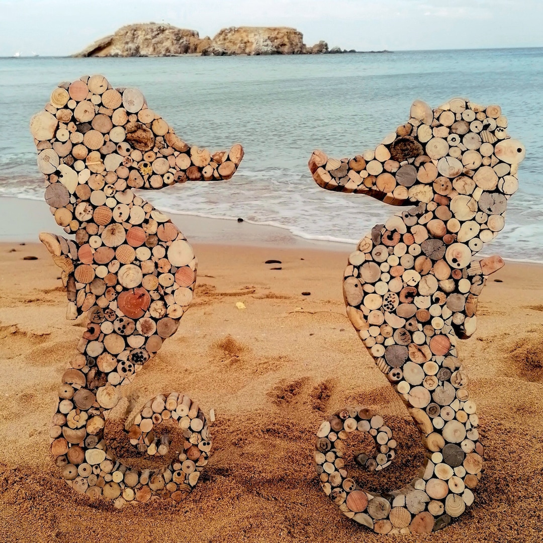 Seahorse Wall Decor Boho,driftwood Seahorse Wall Art,nautical Wall