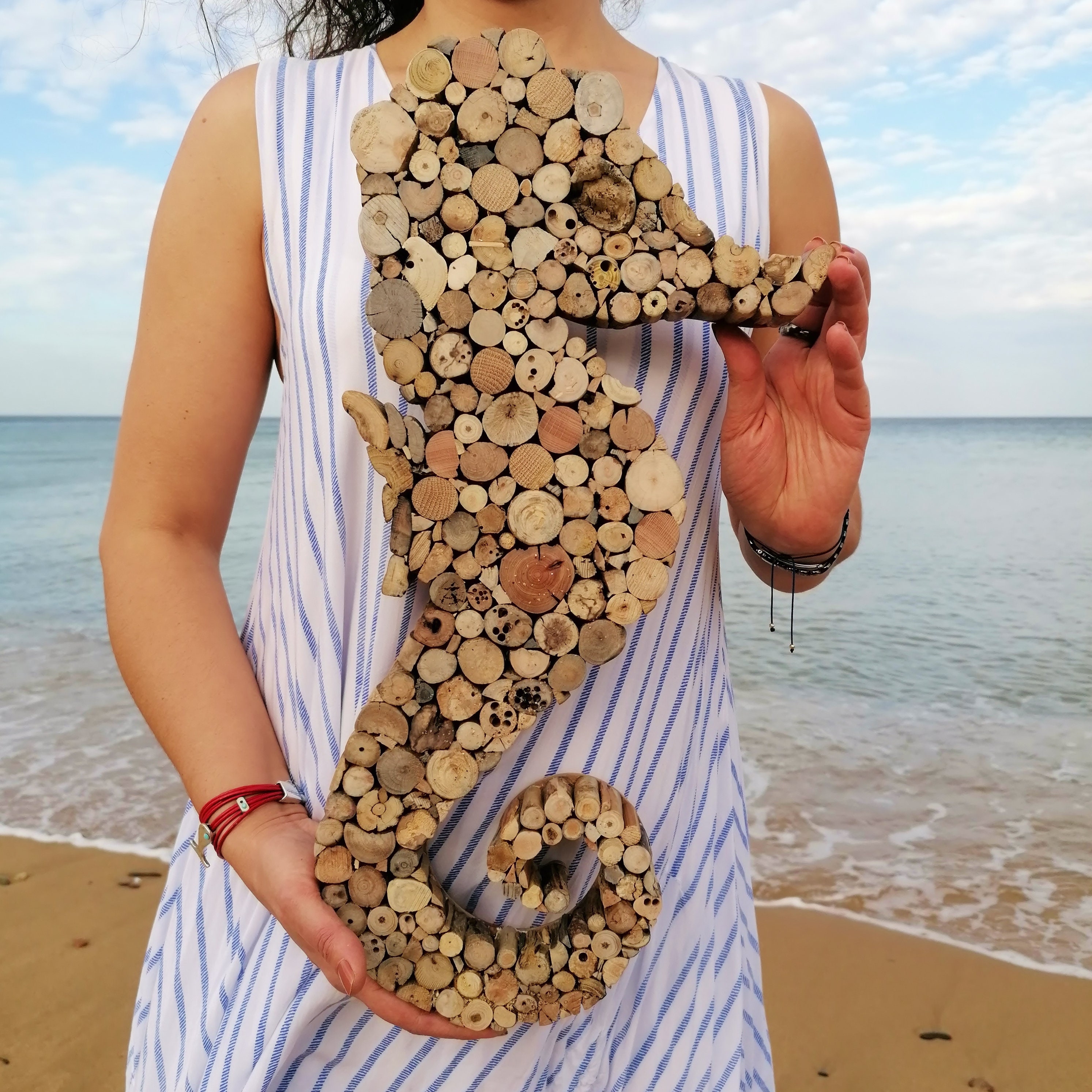 Seahorse Wall Decor Boho,driftwood Seahorse Wall Art,nautical Wall