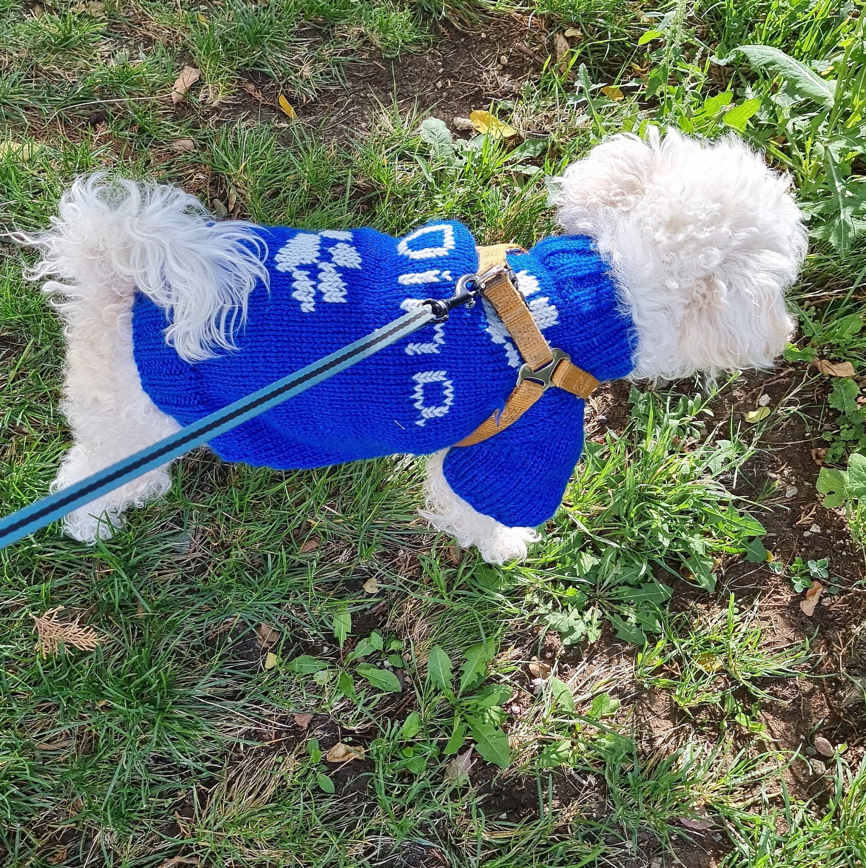 Knit Sweater for Dog With Name and Paw. Personalized Etsy