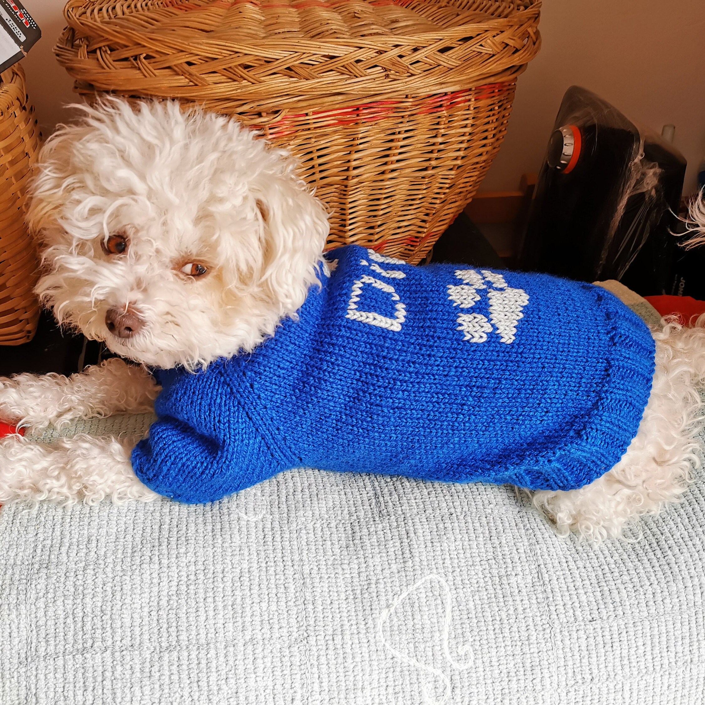 Knit Sweater for Dog With Name and Paw. Personalized Etsy
