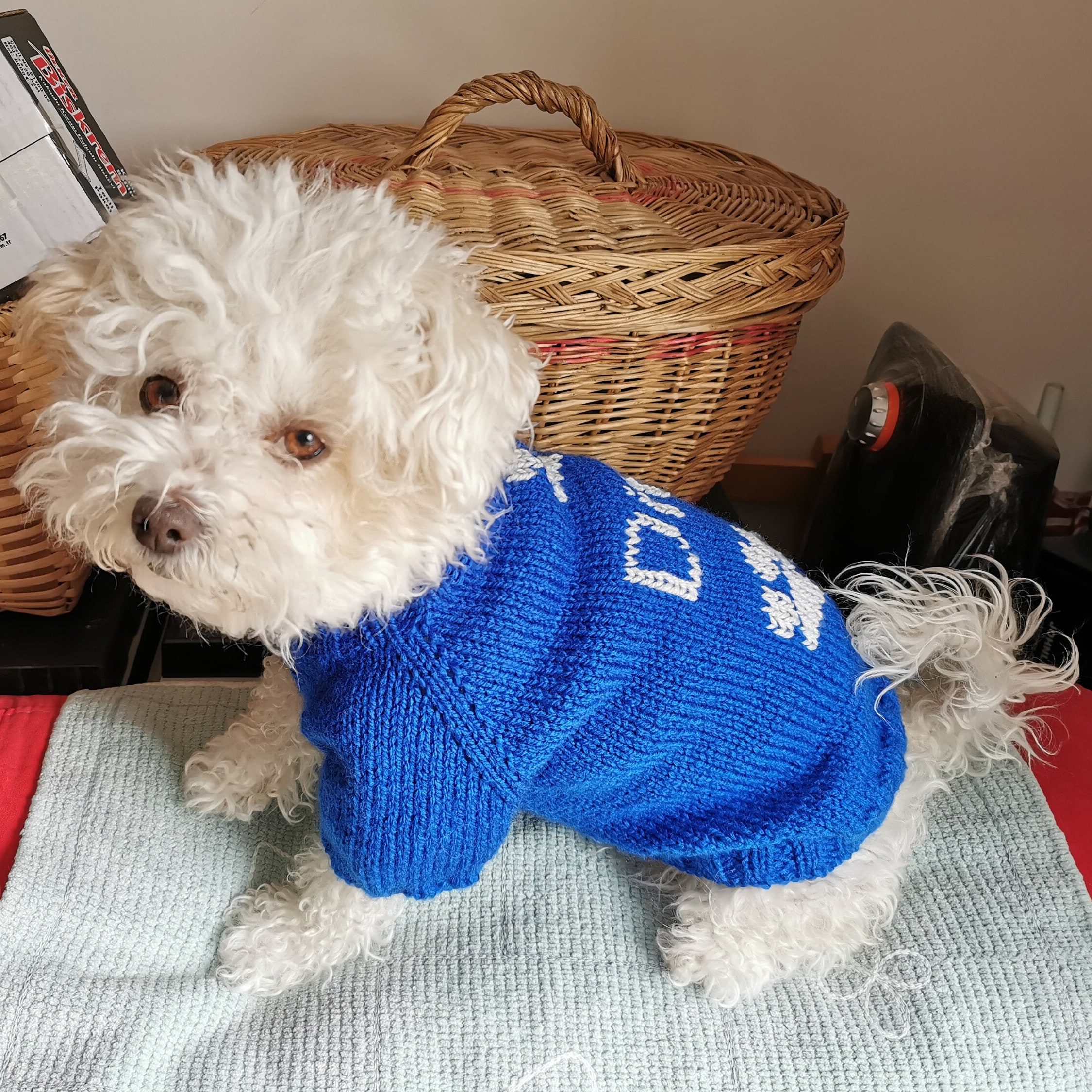 Knit Sweater for Dog With Name and Paw. Personalized Etsy