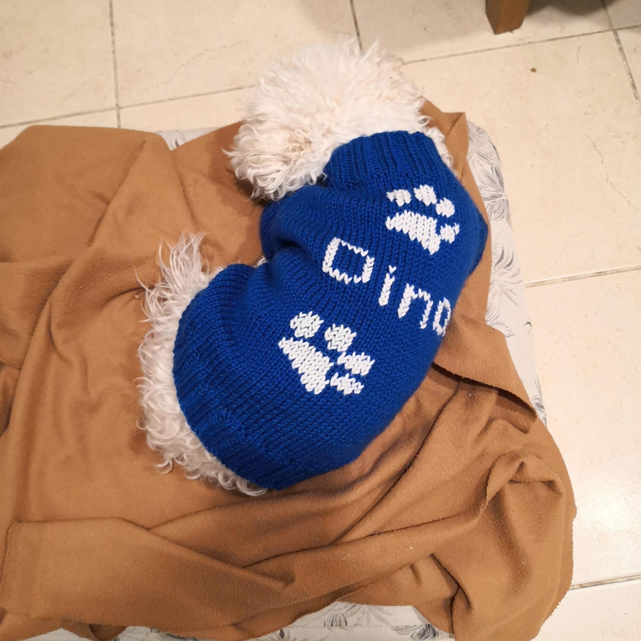 Knit Sweater for Dog With Name and Paw. Personalized Etsy