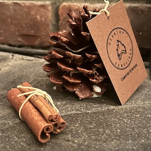 May include: A set of natural pine cone and cinnamon stick fire starters. The pine cone is wrapped with twine and the cinnamon sticks are tied together with twine. The label reads "Country Campfires Campfire Starters".