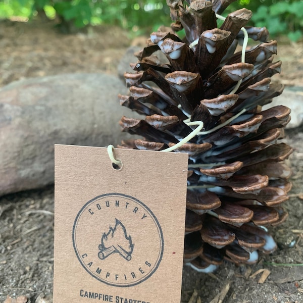 Large Pine Cone Fire Starter