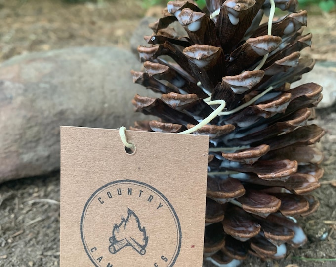 Featured listing image: Large Pine Cone Fire Starter