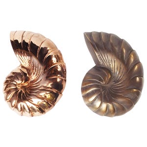 Lot of Nautilus Curtain Tie back, Solid Brass Rope Curtain Holdbacks, Boho Home Decoration for Window Curtain Holder Tiebacks