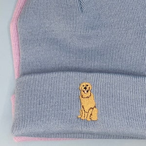 May include: A light blue beanie with a pink brim and an embroidered golden retriever sitting on the front.