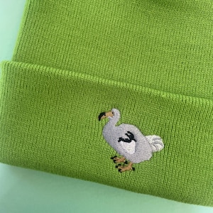Bonnet Dodo, oiseau dodo, bonnet, oiseau dodo, oiseau disparu, oiseaux dodo, oiseaux disparus, bonnet dodo
