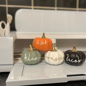 Personalised artificial Pumpkins in 5 colours Orange, Black , White , Grey & Green