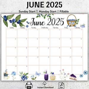 EDITABLE June 2025 Calendar, School Calendar,  Fillable June Calendar, Sweet Blueberries, Printable Classroom Planner, Kids School Schedule