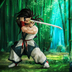 Haohmaru Samurai shodown ready to print in VERY HIGH QUALITY