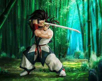 Haohmaru Samurai shodown ready to print in VERY HIGH QUALITY