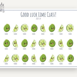 Personalisierter Limetten-Druck, Geschenk zum Jahresende für Schüler, Lehrer-Anerkennungsgeschenk, Klassengeschenk, Studentengeschenk, süß, Digitaldruck