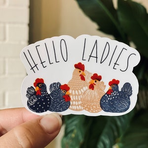 Hello Ladies - Die Cut - Vinyl - Weather Resistant - Huhn - Sticker - MATTE