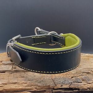 Könnte beinhalten: Schwarzes Lederhundekragen mit grüner gepolsterter Innenauskleidung und einer silbernen Schnalle. Das Halsband ist mit grünem Garn genäht.