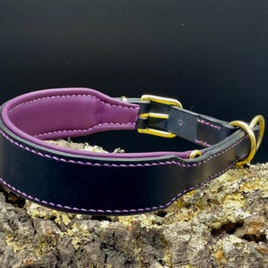 Könnte beinhalten: Ein schwarzes Leder-Halsband für Hunde mit einem gepolsterten Innenfutter in Lila und lila Nähten. Das Halsband verfügt über goldfarbene Metallbeschläge, darunter eine Schnalle und ein D-Ring. Das Halsband wird auf einer strukturierten, hellbraunen Oberfläche präsentiert.