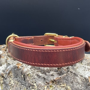 Zugstopp Halsband verstellbar, gepolstert, aus Geschirrleder, breit, handgenäht, Messingbeschläge, Maßanfertigung