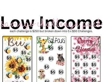 Low Income Savings Challenge Pack 3PCS