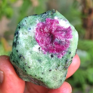 Könnte beinhalten: Ein rauer, ungeschliffener Rubin in Zoisit-Edelstein. Der Stein weist einen leuchtend rosa Rubin-Mittelpunkt auf, der von einer gesprenkelten grünen Zoisit-Matrix umgeben ist. Kleine schwarze Einschlüsse sind über den grünen Stein verstreut.
