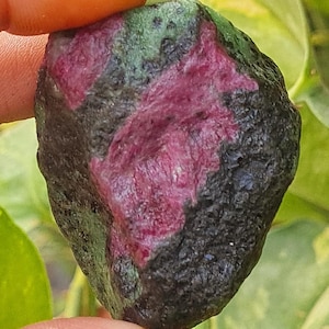 Op de afbeelding: Een ruwe robijnsteen met een dieprood centrum, omgeven door groene en zwarte minerale afzettingen. De natuurlijke edelsteen wordt in een hand gehouden, wat de ruwe, ongepolijste textuur benadrukt. De robijn is een levendig voorbeeld van natuurlijke minerale formaties.