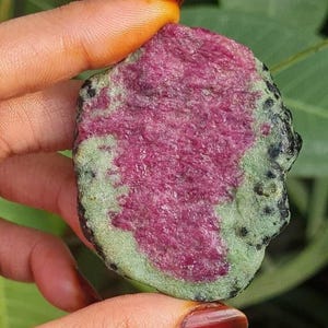 May include: A raw gemstone with a vivid pink core, framed by a green and black speckled outer layer. The stone is held by fingers, highlighting its natural, unrefined texture. The gemstone's colours and unique pattern make it a striking mineral specimen.