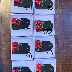 Five nights at Freddy’s Foxy Earrings