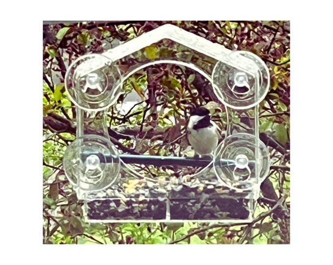 Bird Feeder Window Bird Feeder with strong suction cups Cat Toy Gift for Bird Watcher squirrel proof bird feeder easy to clean bird feeder