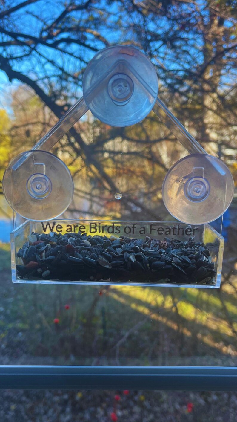 May include: A clear plastic bird feeder with suction cups attached to a window. The feeder has a small tray filled with birdseed and the text "We are Birds of a Feather" printed on the front.