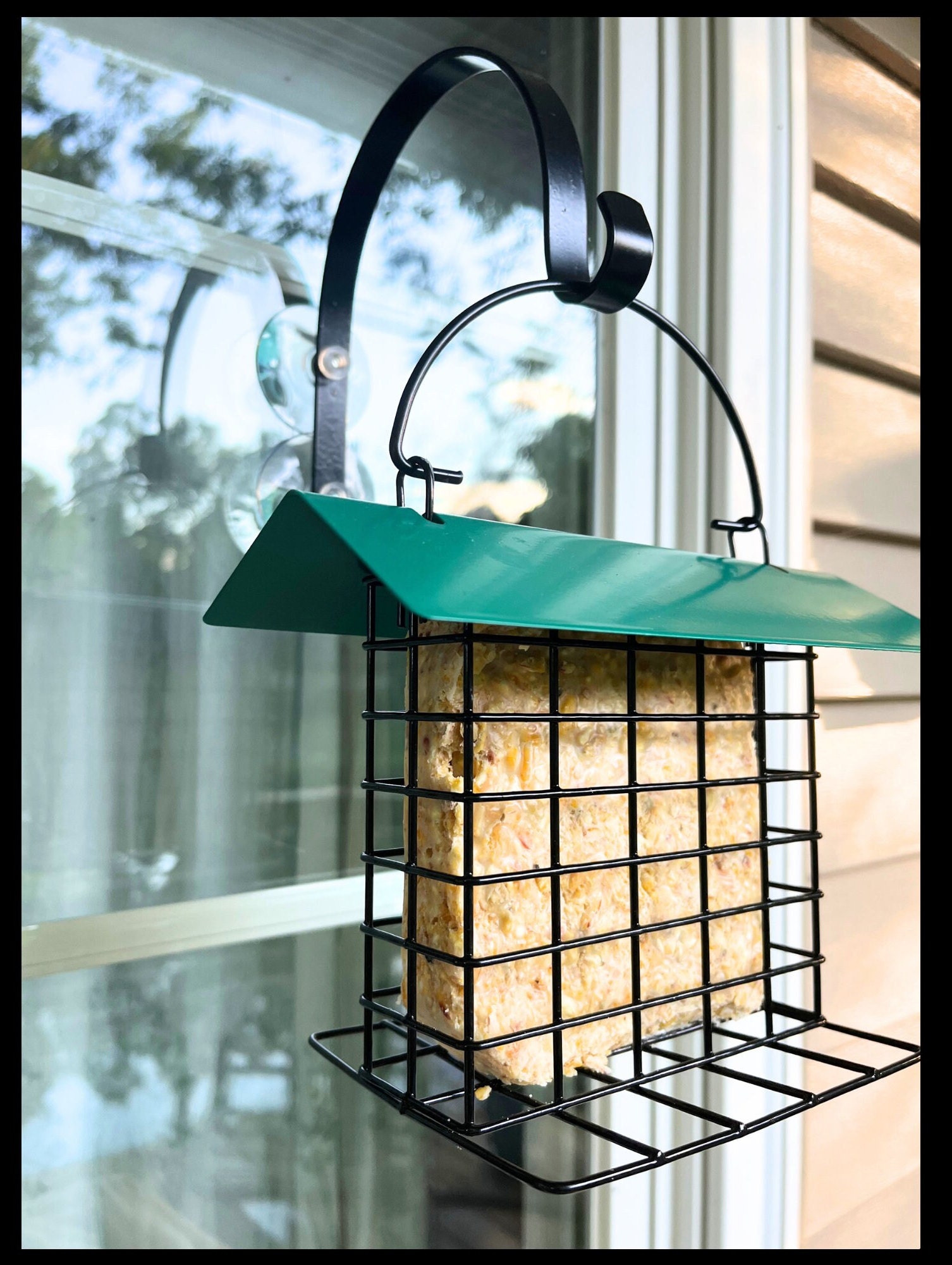 Replacement Perch for Bird Buddy Stock Perch With Threaded Brass Inserts  for Accessories Does Not Include Bird Buddy Bird Feeder 