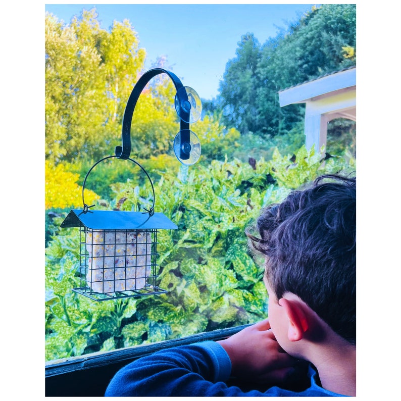 Hummingbird Feeder Window Mounted Bird Feeder Bracket Strong Suction