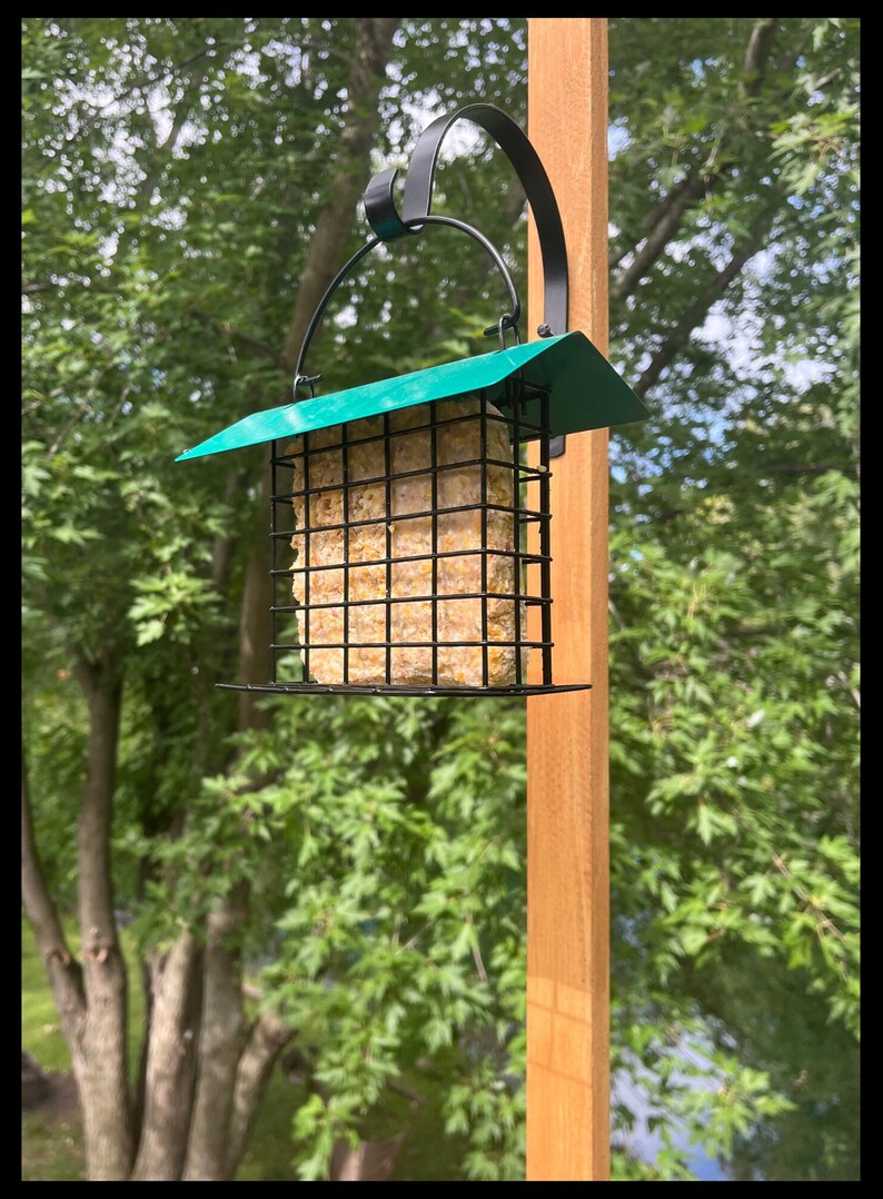 window bird feeder clear window bird feeder clear