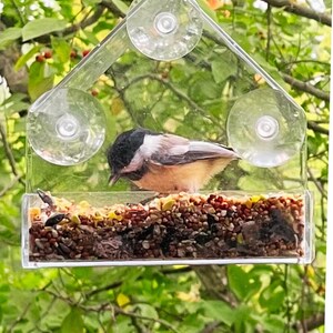 May include: A clear plastic bird feeder with suction cups, attached to a tree branch. The feeder is filled with birdseed and a small bird is eating from it.