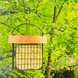 May include: A yellow suet cake in a black wire cage feeder with a copper-colored roof, hanging from a black metal hook. The feeder is suspended in front of a green leafy background.