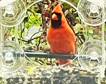Comedero para pájaros de ventana, comedero transparente con ventosa resistente, comedero para pájaros para montaje en ventana, comedero a prueba de ardillas, comedero fácil de limpiar.