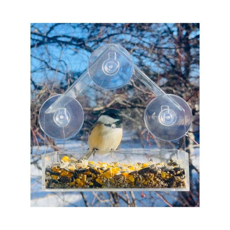 May include: A clear plastic bird feeder with suction cups attached to a window. The feeder is filled with birdseed and a small black and white bird is perched on the edge.