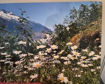 Wild Flowers in the Mountains ( SOLD )