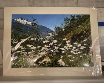 Alaskan Wildfowers. ( Sold!!) new photo with frame pending