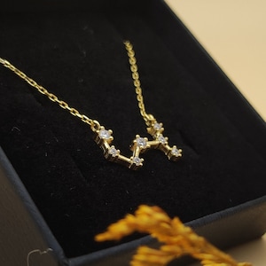 Gepersonaliseerde Zodiac ketting, verjaardagscadeau voor moeder Birthstone ketting, astrologie ketting, sierlijke geboortesteen kettingen, kostuum cadeau vrouwen afbeelding 9