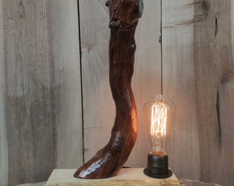 Deco Wood Desk Light,Natural Fossil Wood,Unique Rustic Table Lamp,Sculpture Room Decor,Natural Shape Study Lamp,Wooden Lighting for Table