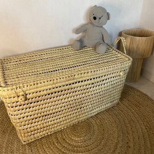 Puede incluir: Una cesta de almacenamiento rectangular tejida con tapa, un oso de peluche gris y una alfombra redonda de yute. La cesta tiene un asa a cada lado. El oso de peluche est&aacute; sentado encima de la cesta. Una maceta de madera est&aacute; en el fondo.