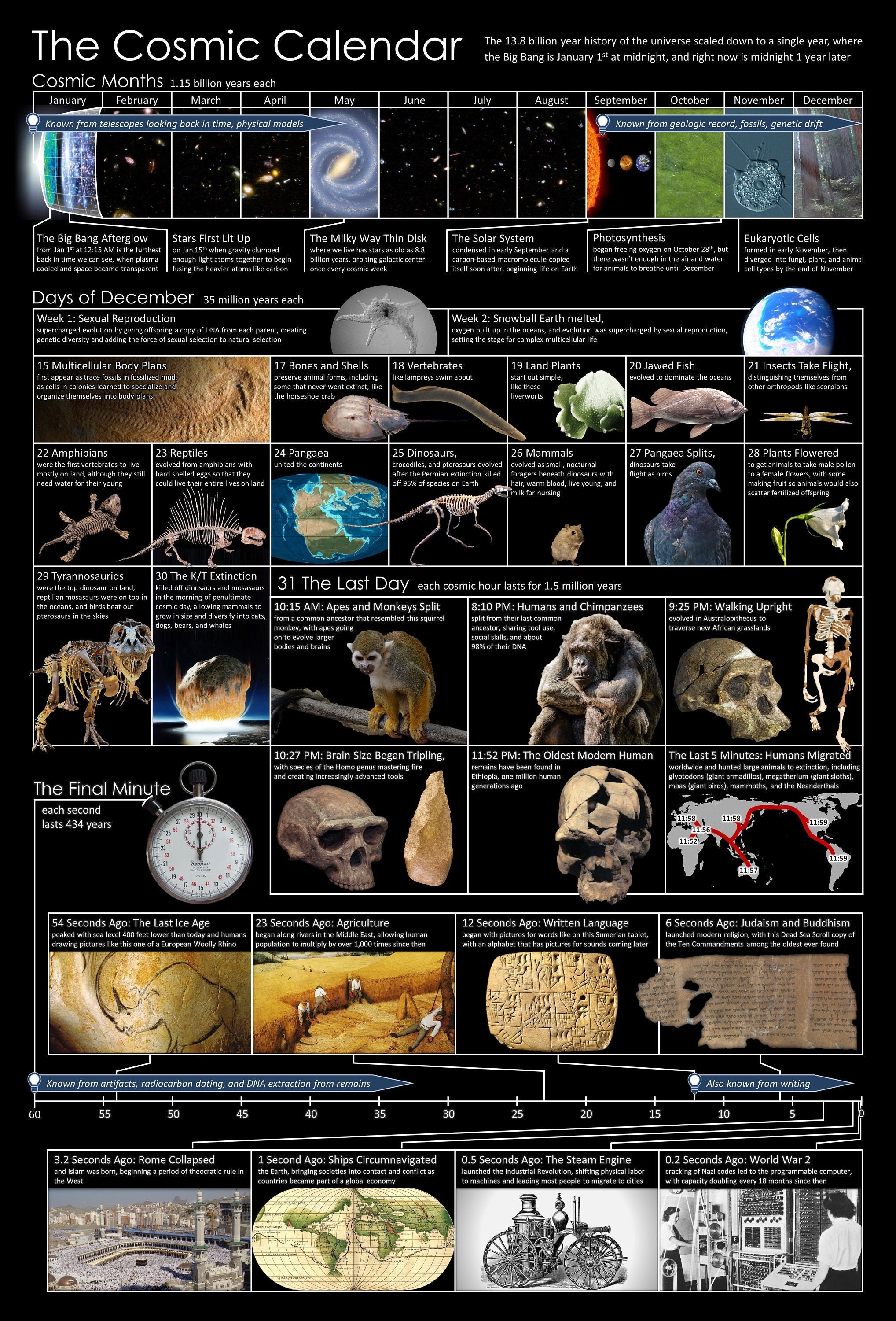Cosmic Calendar Vertical Poster - Etsy