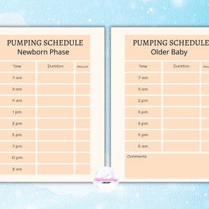Pumping Schedule, Pumping Log Chart, Pump, Printable Download, Track Pumping Sessions, Breast Pump Log, Pumping, New Mom Essentials, Planner