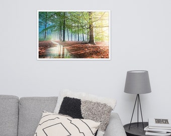 Sunlight  through the  Woodland Trees