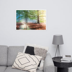 Sunlight  through the  Woodland Trees