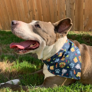 Taco Bout a Pawty Dog  Puppy Bandana – Funny Dog Scarf with Taco Print, Fiesta Dog Accessory, Pet Cinco de Mayo Outfit, Dog Lover Gift